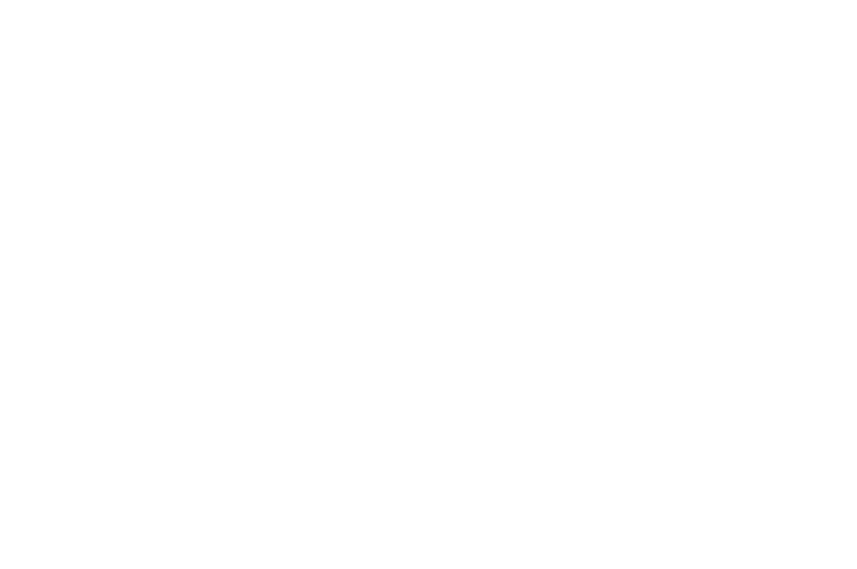 Official Selection - Anatolia International Film Festival 2026