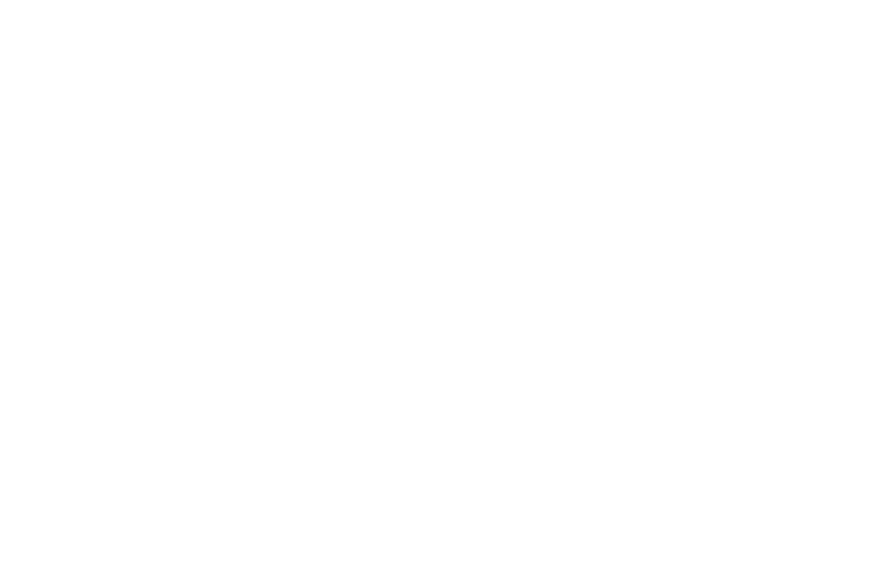 Official Selection - South Film and Arts Academy Festival 2026