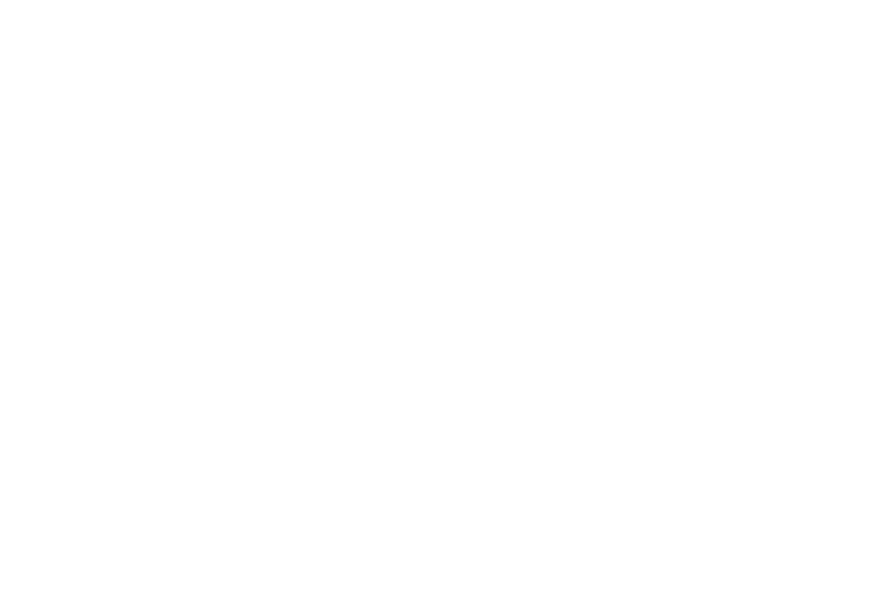 Best First Time Director Feature Film winner - Tokyo Film and Screenplay Awards 2026